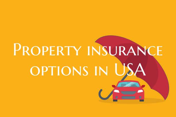 Property insurance options i...